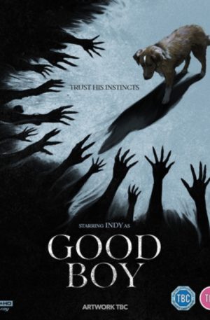 Good Boy (4K Ultra HD) (IMPORT)