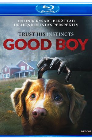 Good Boy (Blu-ray)