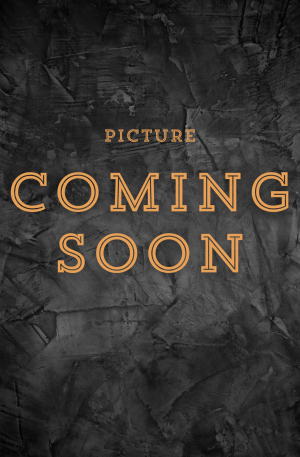 The Patriot - Limited Steelbook (4K Ultra HD)