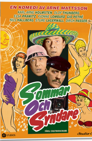 Sommar och syndare (DVD)