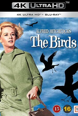 Birds, The (4K Ultra HD)